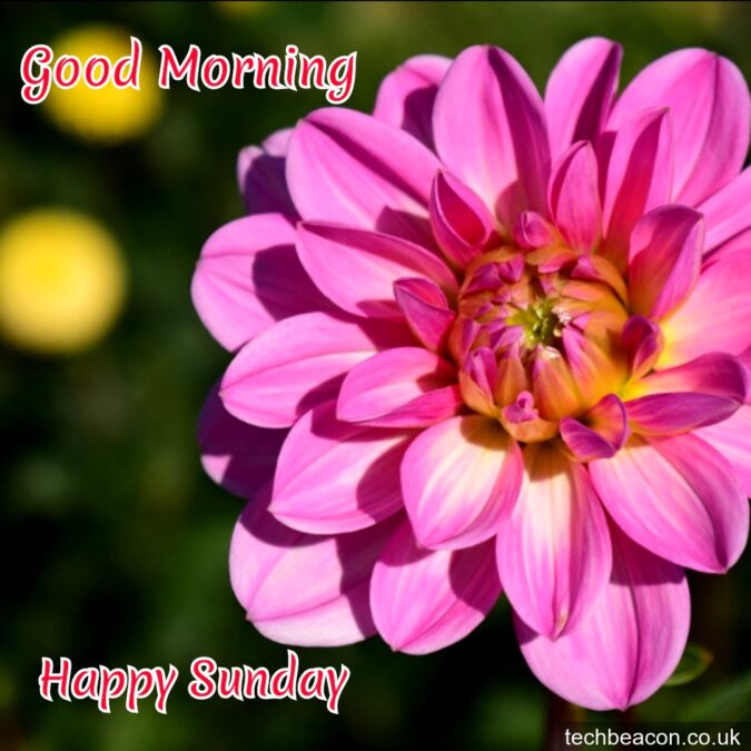 friday blessings quotes