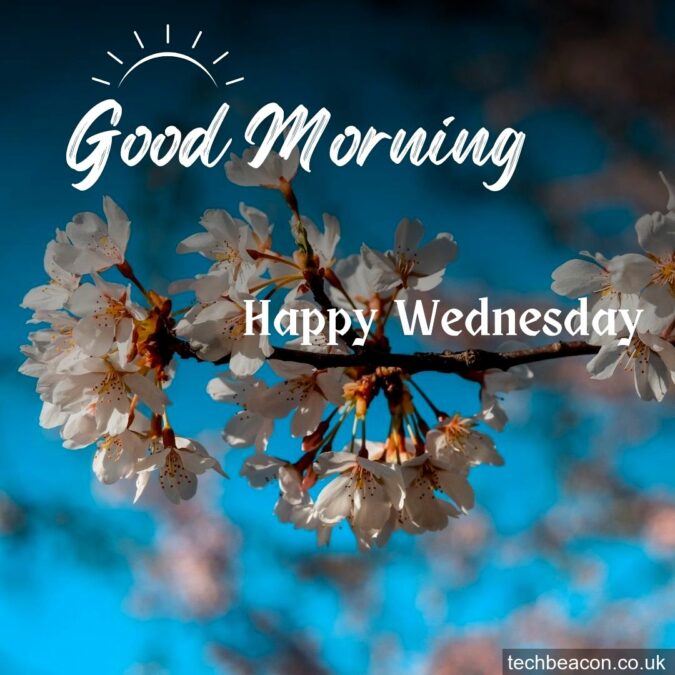 friday blessings quotes