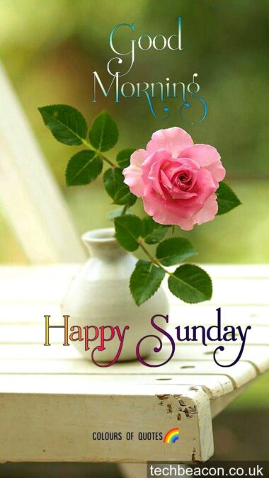 friday blessings quotes