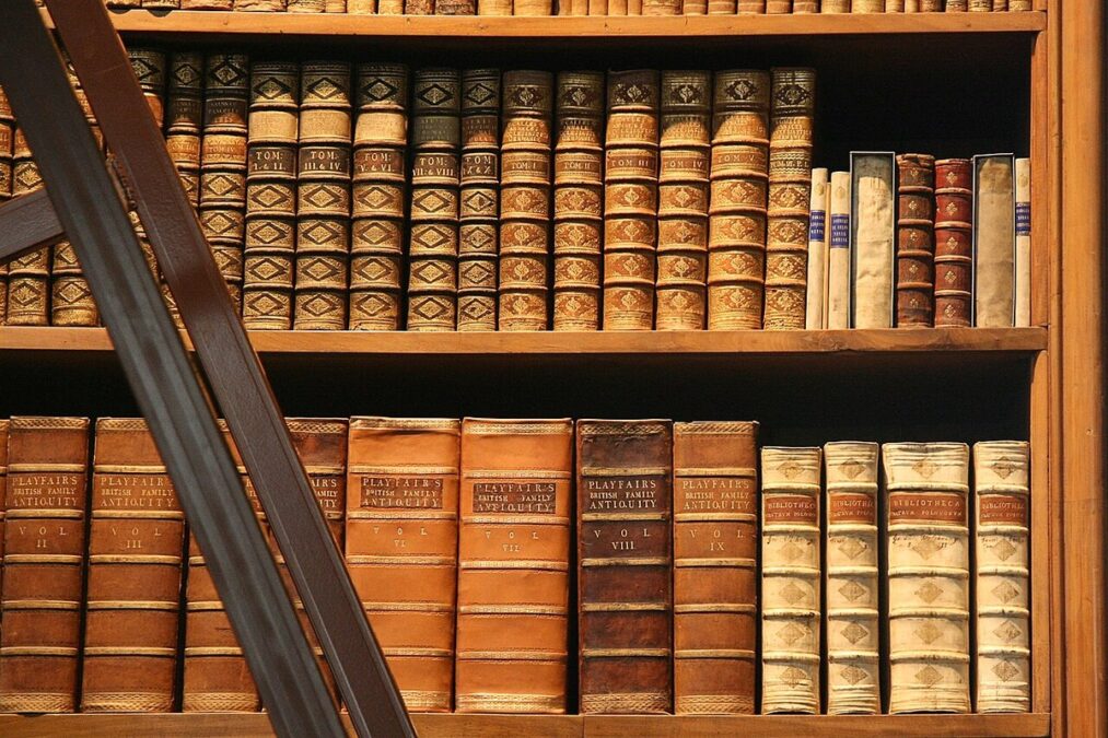 bookcase vs bookshelf