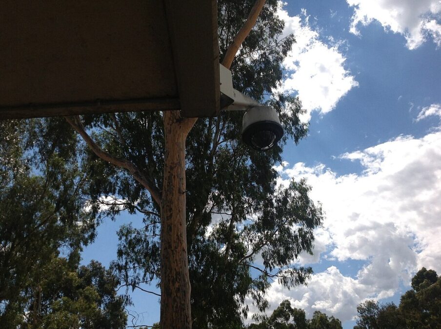 nest camera offline nest camera offline